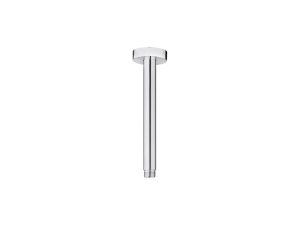 Vertical shower arm