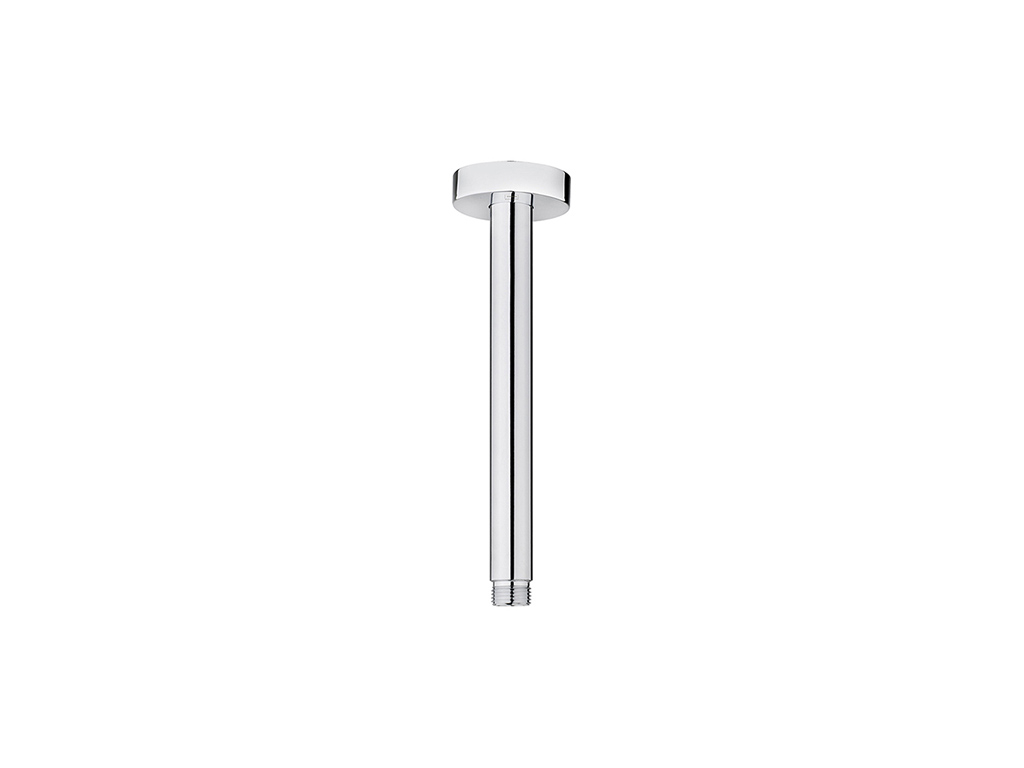 Vertical shower arm