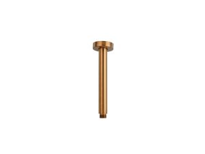 Vertical shower arm