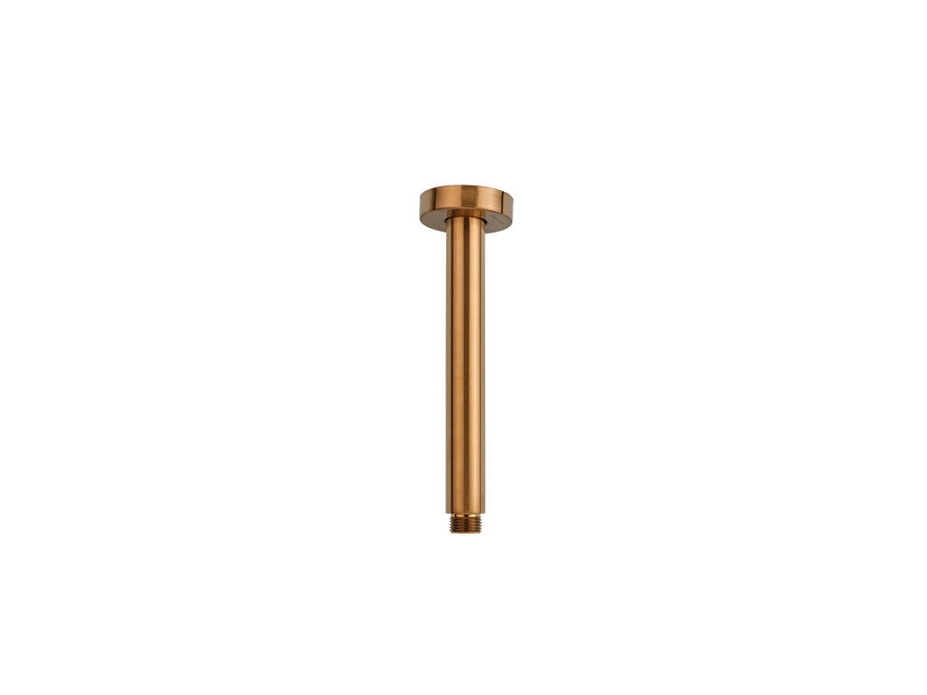 Vertical shower arm