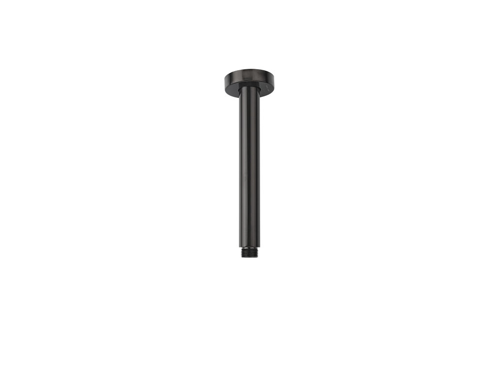 Vertical shower arm