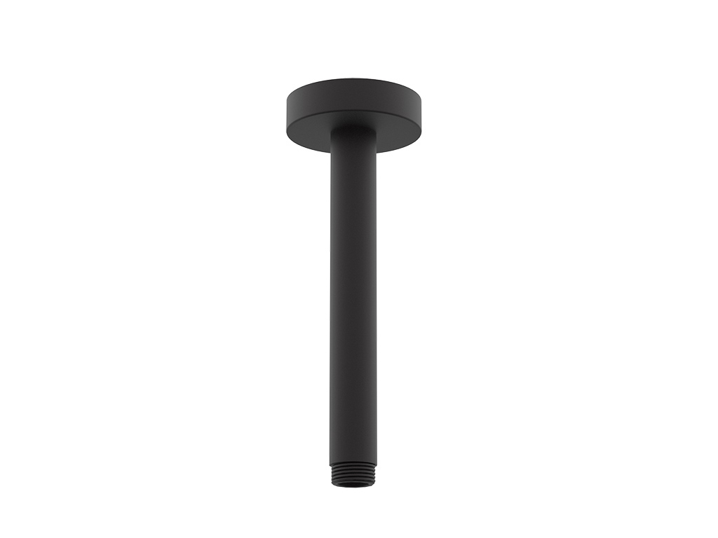 Vertical shower arm