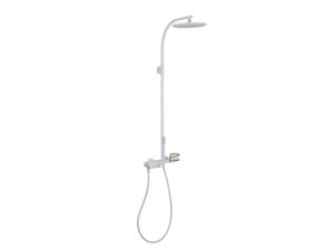 Single lever shower system