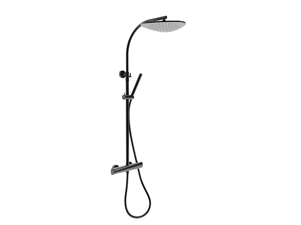 Thermostatic shower system