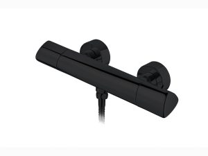 Termostática de ducha