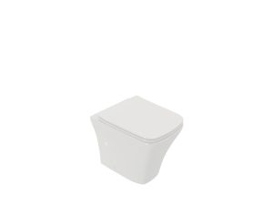 Btw floor standing toilet