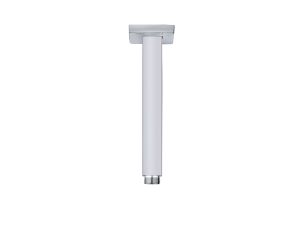Vertical shower arm