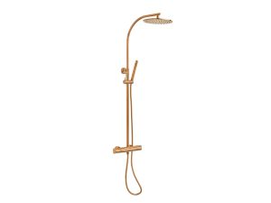 Thermostatic shower system
