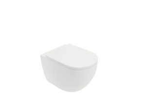 Wall hung wc