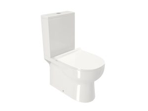 Back to wall toilet