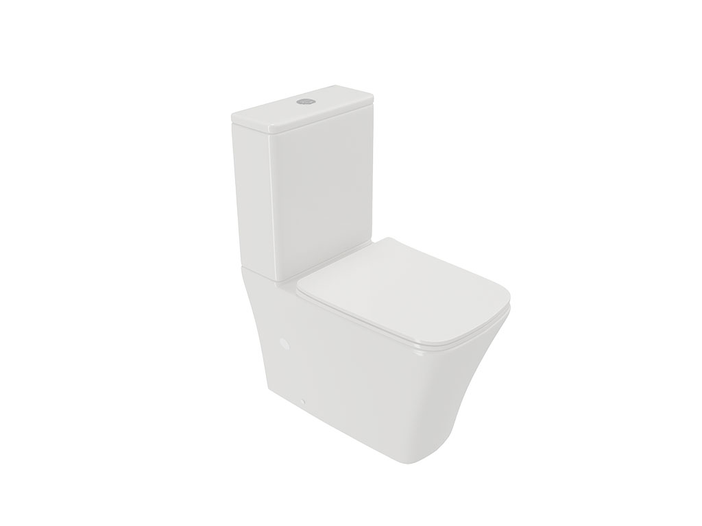 Back to wall toilet