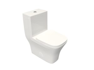 One piece toilet