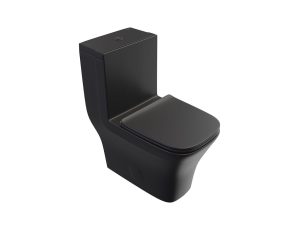 One piece toilet