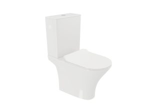 Floor toilet