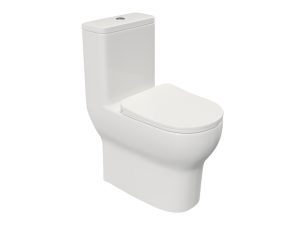 One piece toilet