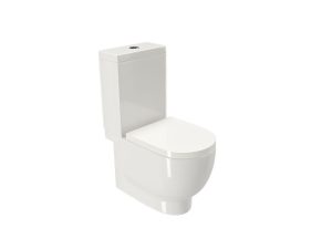 Back to wall toilet