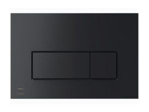 Flush plate