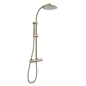 Dual control shower system