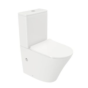 Back to wall toilet