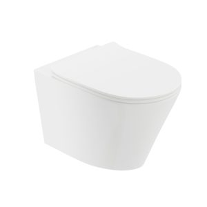 Wall hung wc
