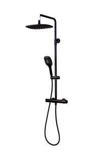 Thermostatic shower system