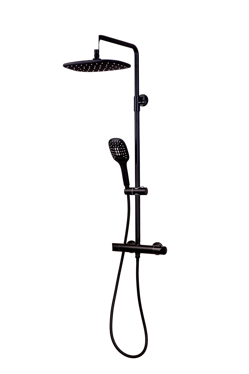 Thermostatic shower system